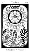 The Star Tarot card in Hermetic deck