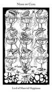 Nine of Cups Tarot card in Hermetic Tarot deck