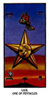 ibis - Ace of Pentacles