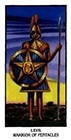 ibis - Warrior of Pentacles