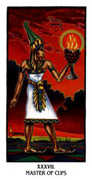 Master of Cups Tarot card in Ibis deck