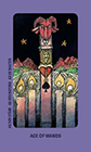 jolanda - Ace of Wands