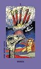 jolanda - Five of Wands