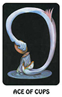karma - Ace of Cups