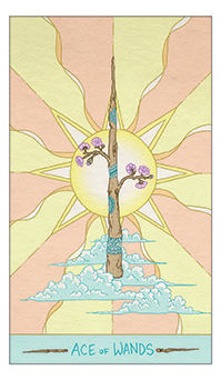 Ace of Wands Tarot card in Luna Sol Tarot deck