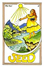 medicine-woman - The Fool
