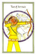 Two of Arrows Tarot card in Medicine Woman Tarot deck
