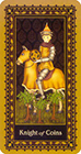 medieval-cat - Knight of Coins