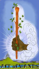 melanated - Ace of Wands