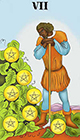 melanated - Seven of Coins