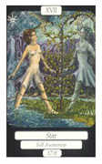 The Star Tarot card in Merry Day deck