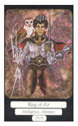 King of Swords Tarot card in Merry Day deck