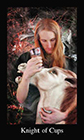 modern-medieval - Knight of Cups