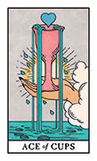 Ace of Cups Tarot card in Modern Witch deck