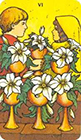 morgan-greer - Six of Cups