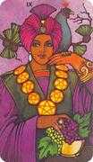 Nine of Coins Tarot card in Morgan-Greer deck