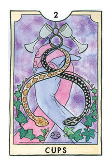 Two of Cups Tarot card in New Chapter Tarot deck