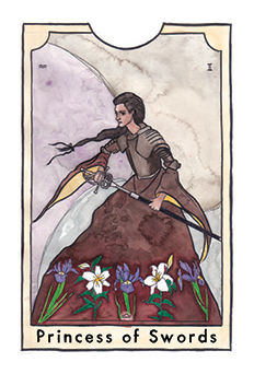 Page of Swords Tarot card in New Chapter Tarot deck