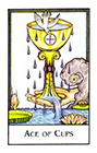 new-palladini-tarot - Ace of Cups