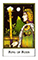 The New Palladini Tarot