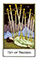 The New Palladini Tarot