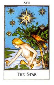 The Star Tarot card in The New Palladini Tarot Tarot deck