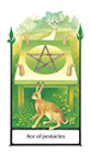 old-path - Ace of Pentacles