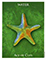 One World Tarot