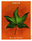 One World Tarot