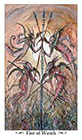 paulina - Five of Wands