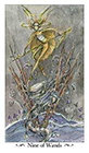 paulina - Nine of Wands