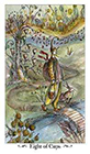 paulina - Eight of Cups