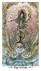 paulina - Page of Cups