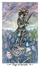 paulina - Page of Swords