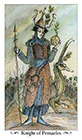 paulina - Knight of Coins