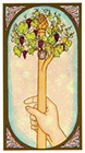 renaissance - Ace of Wands