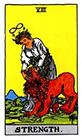 rider - Strength