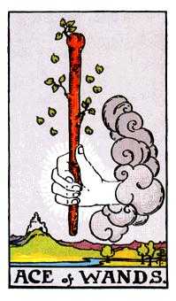 Ace of Wands Tarot card in Rider Waite Tarot deck