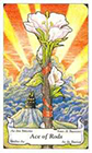 roberts - Ace of Wands