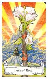 Ace of Wands Tarot card in Hanson Roberts Tarot deck