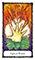 Sacred Rose