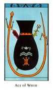 Ace of Water Tarot card in Santa Fe Tarot deck
