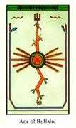 Ace of Buffalo Tarot card in Santa Fe deck