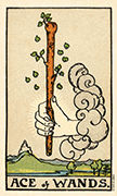 Ace of Wands Tarot card in Smith Waite Centennial Tarot deck