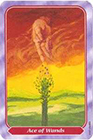 spiral - Ace of Wands