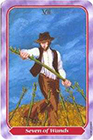 spiral - Seven of Wands