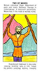 starter - Two of Wands