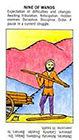 starter - Nine of Wands