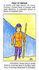 starter - Page of Wands