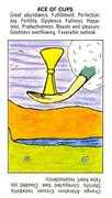 Ace of Cups Tarot card in Starter Tarot deck